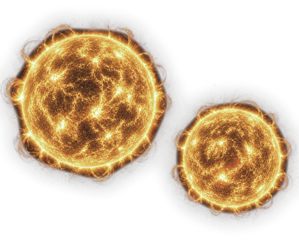 Hactiva and Paranid
