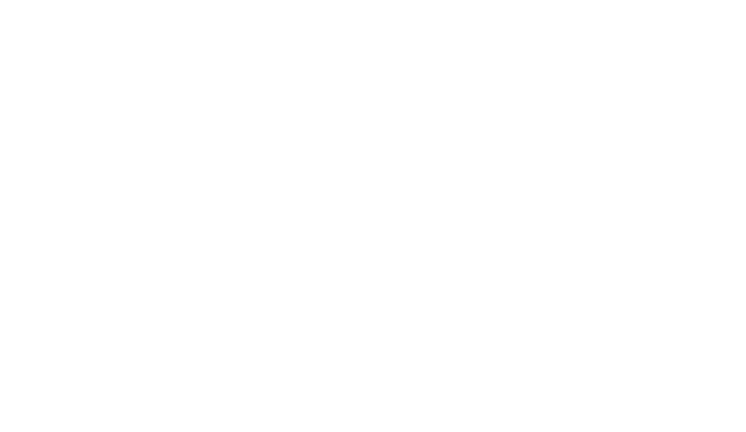 STAR FOX